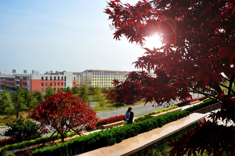 青岛黄海学院
